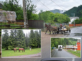 Pferdefuhrwerke noch im alltäglichen Straßenbild